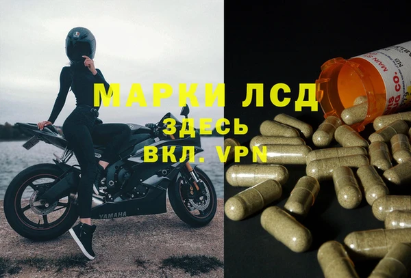apvp Алексеевка