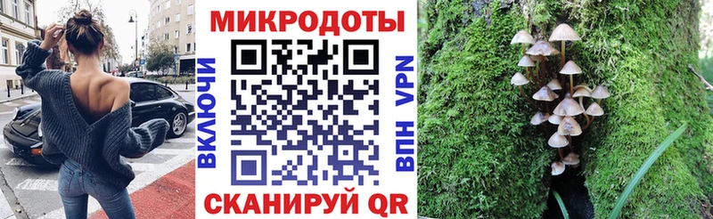 Галлюциногенные грибы мицелий Туринск